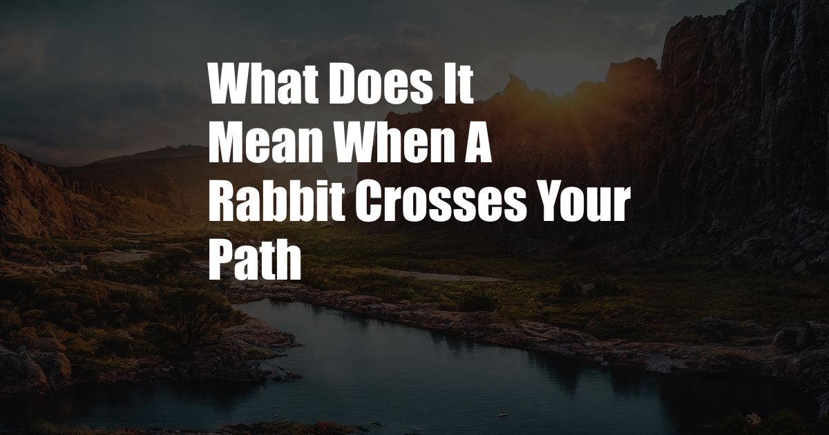 What Does It Mean When A Rabbit Crosses Your Path