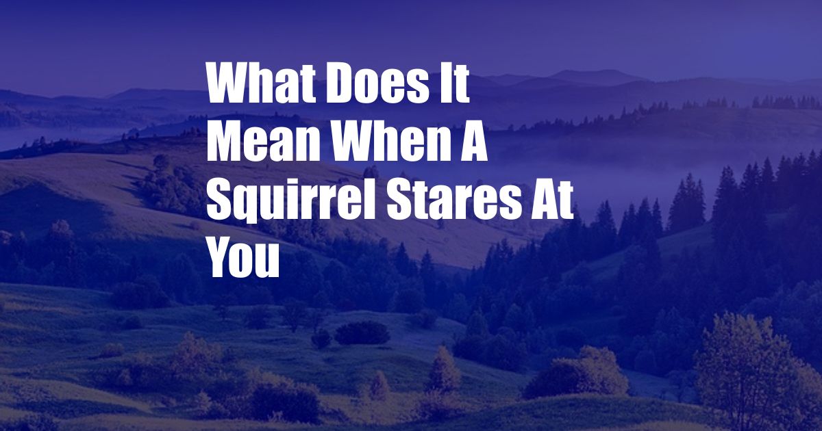 What Does It Mean When A Squirrel Stares At You