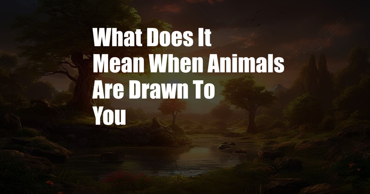 What Does It Mean When Animals Are Drawn To You