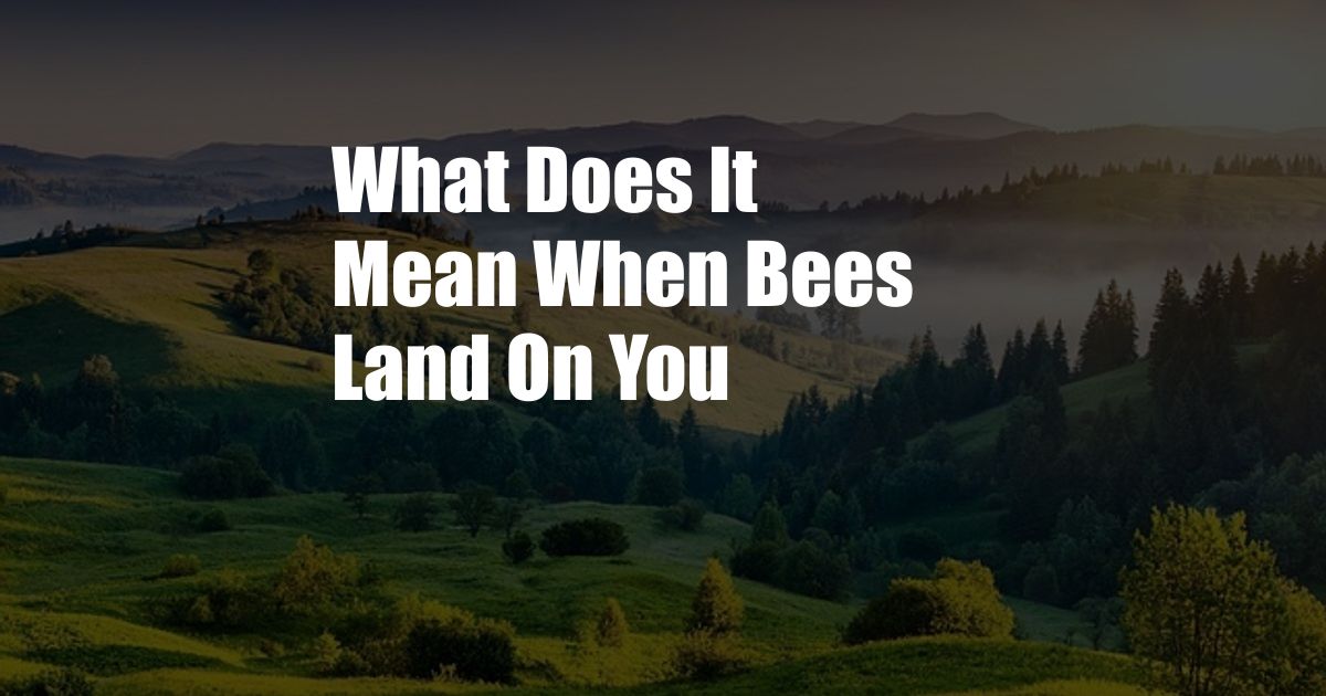 What Does It Mean When Bees Land On You