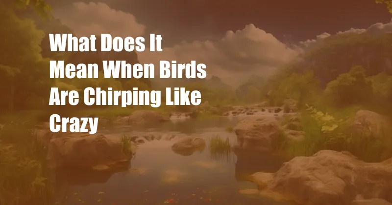 What Does It Mean When Birds Are Chirping Like Crazy