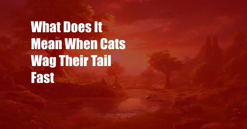 What Does It Mean When Cats Wag Their Tail Fast