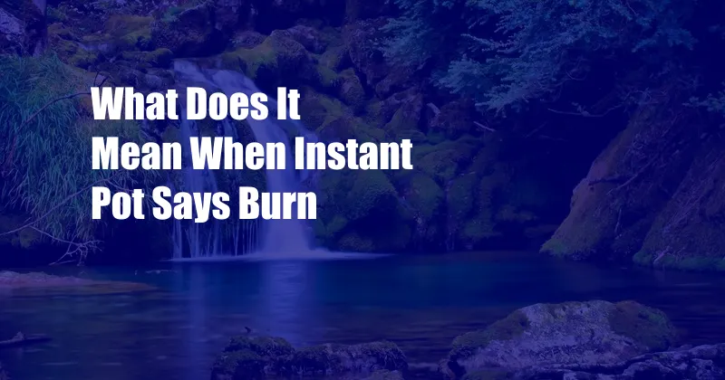 What Does It Mean When Instant Pot Says Burn