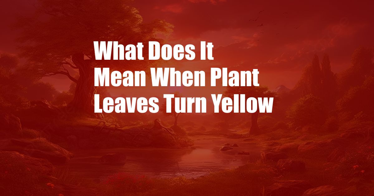 What Does It Mean When Plant Leaves Turn Yellow