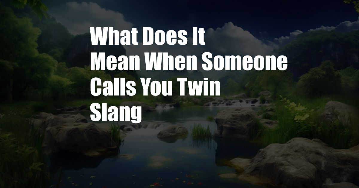 What Does It Mean When Someone Calls You Twin Slang