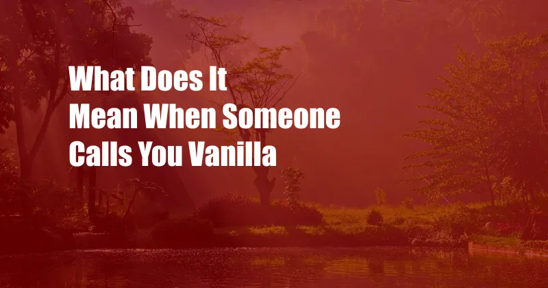 What Does It Mean When Someone Calls You Vanilla