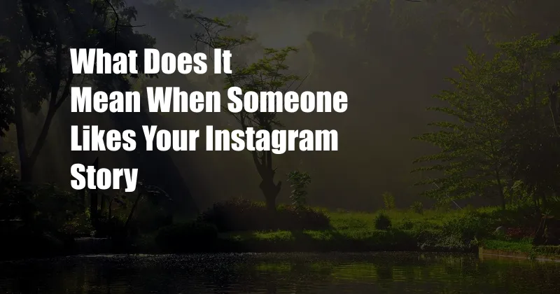 What Does It Mean When Someone Likes Your Instagram Story