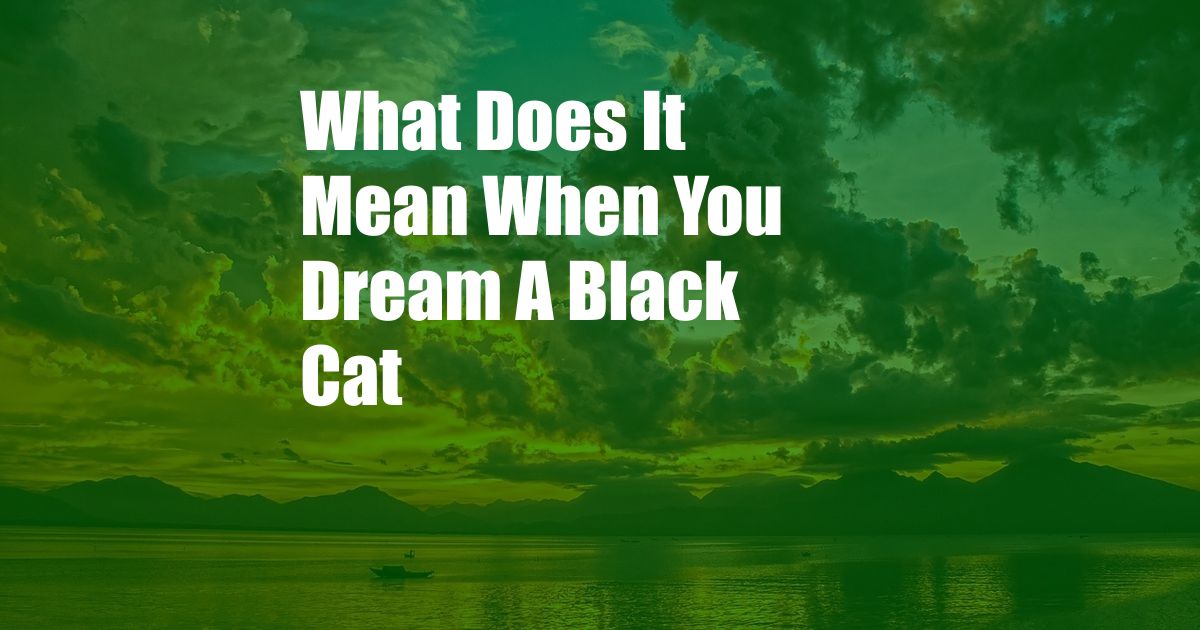 What Does It Mean When You Dream A Black Cat