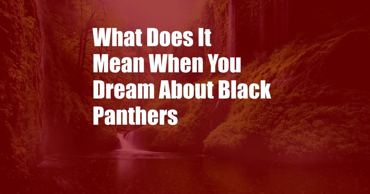 What Does It Mean When You Dream About Black Panthers