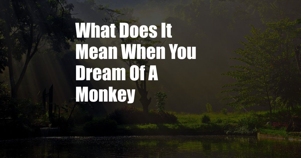 What Does It Mean When You Dream Of A Monkey