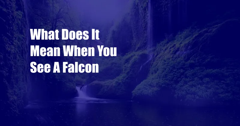 What Does It Mean When You See A Falcon