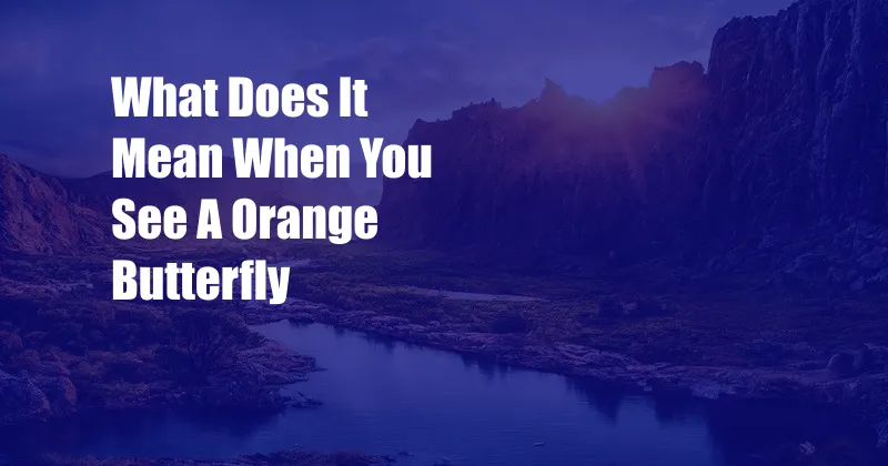 What Does It Mean When You See A Orange Butterfly