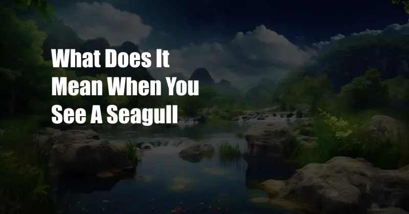 What Does It Mean When You See A Seagull