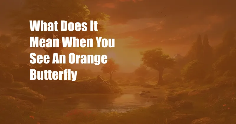 What Does It Mean When You See An Orange Butterfly