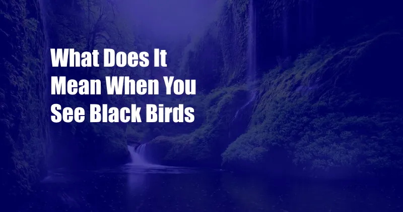 What Does It Mean When You See Black Birds