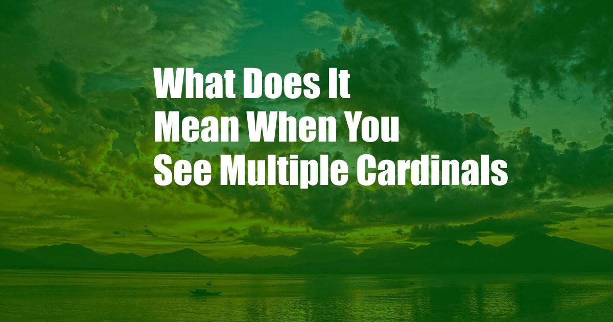 What Does It Mean When You See Multiple Cardinals