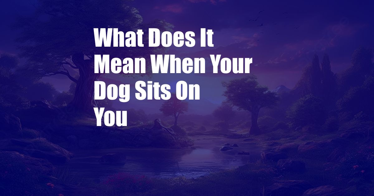 What Does It Mean When Your Dog Sits On You