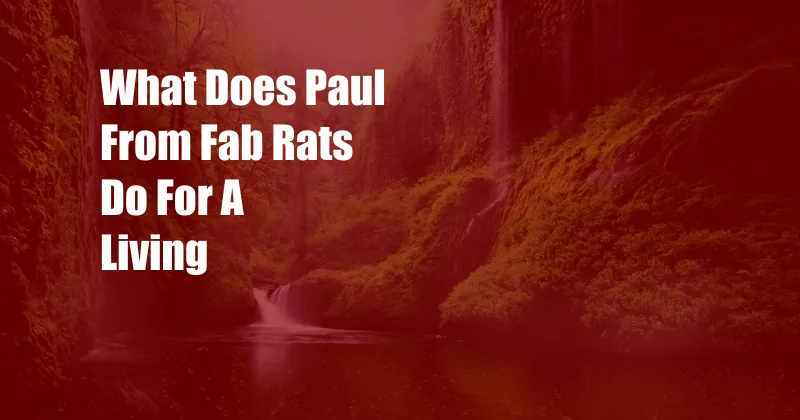 What Does Paul From Fab Rats Do For A Living