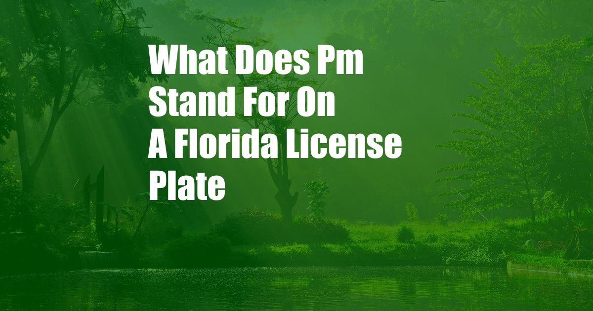 What Does Pm Stand For On A Florida License Plate