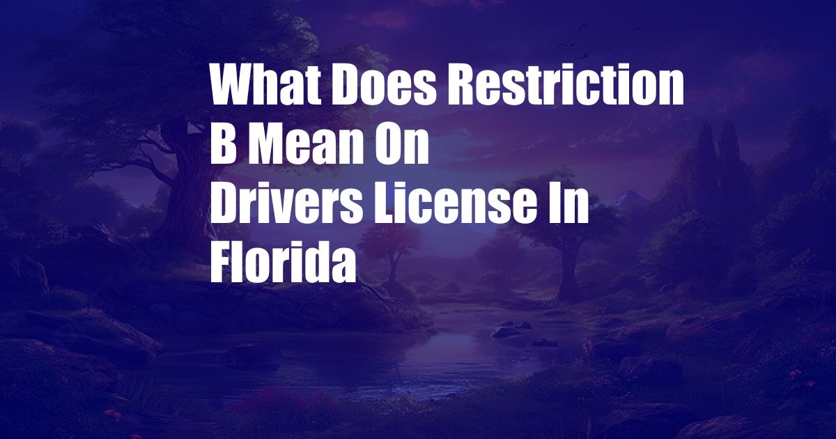 What Does Restriction B Mean On Drivers License In Florida