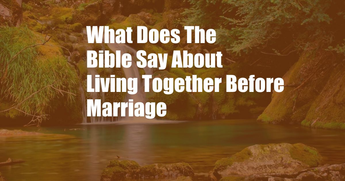 What Does The Bible Say About Living Together Before Marriage