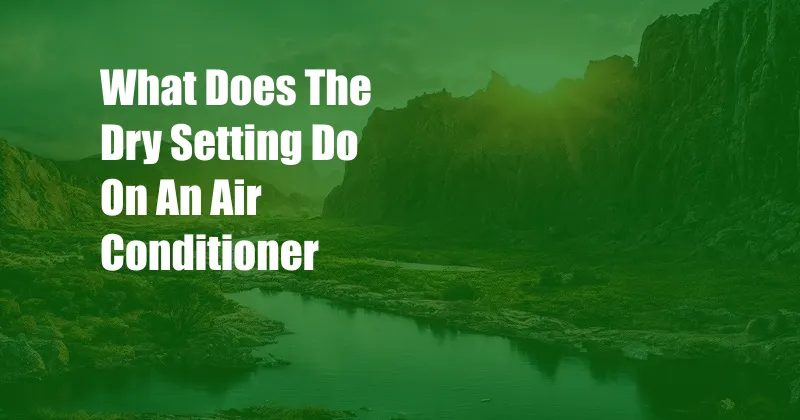 What Does The Dry Setting Do On An Air Conditioner