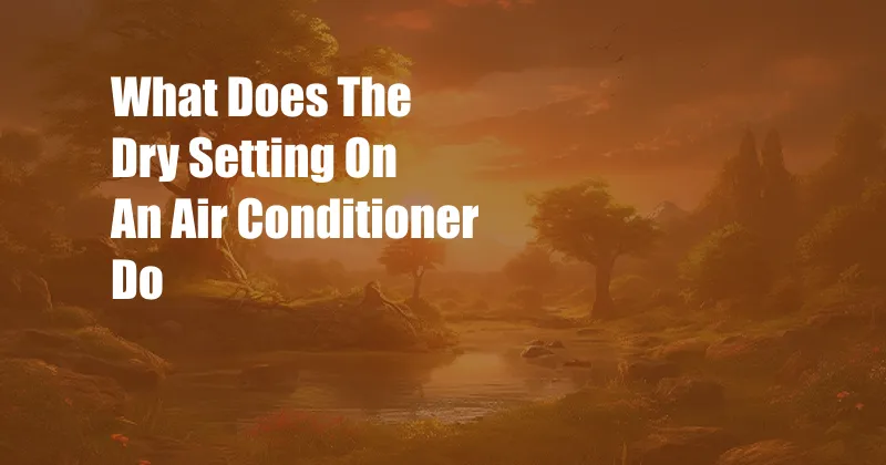 What Does The Dry Setting On An Air Conditioner Do