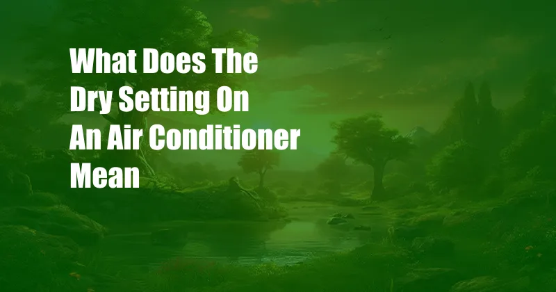 What Does The Dry Setting On An Air Conditioner Mean