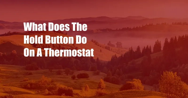 What Does The Hold Button Do On A Thermostat