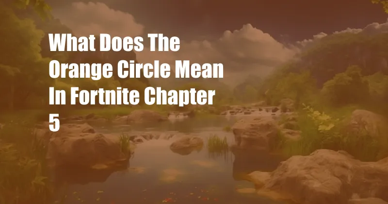 What Does The Orange Circle Mean In Fortnite Chapter 5