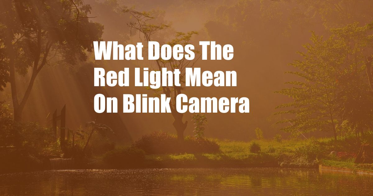 What Does The Red Light Mean On Blink Camera