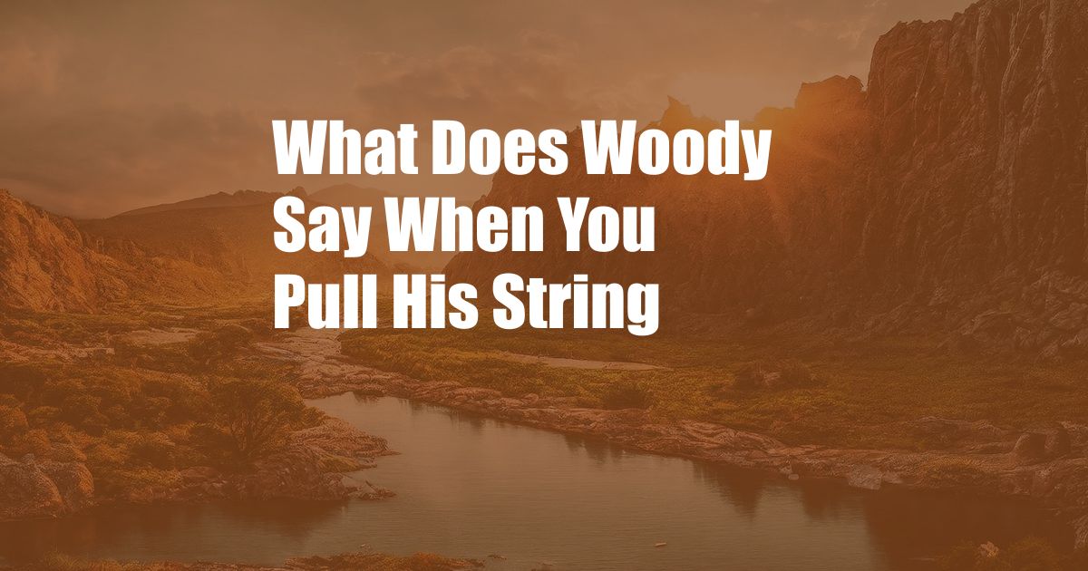 What Does Woody Say When You Pull His String