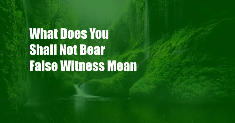 What Does You Shall Not Bear False Witness Mean