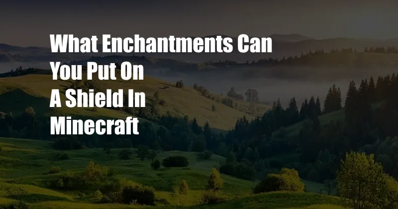 What Enchantments Can You Put On A Shield In Minecraft