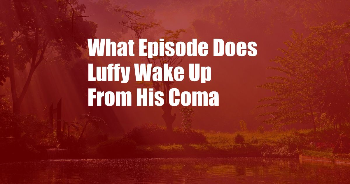 What Episode Does Luffy Wake Up From His Coma