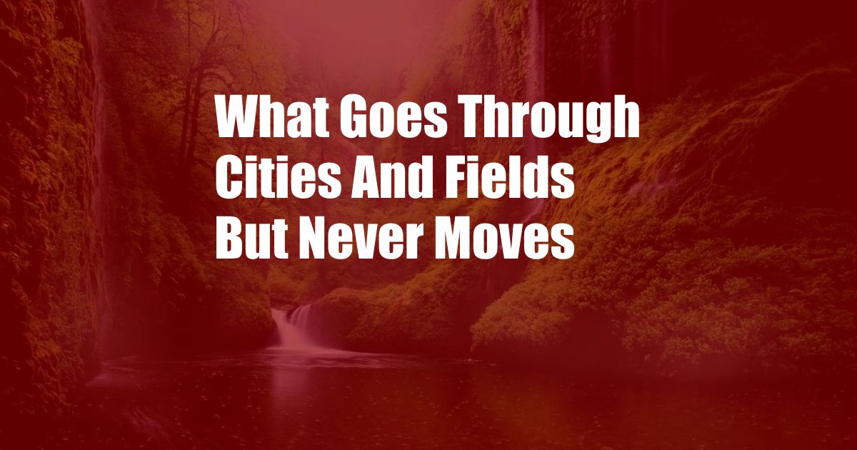 What Goes Through Cities And Fields But Never Moves