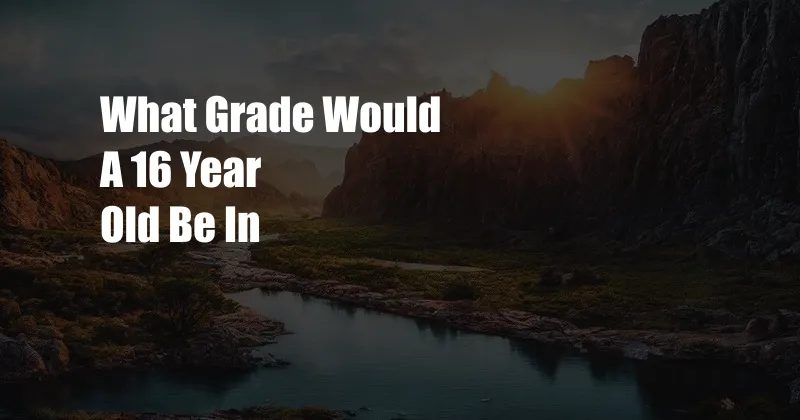 What Grade Would A 16 Year Old Be In