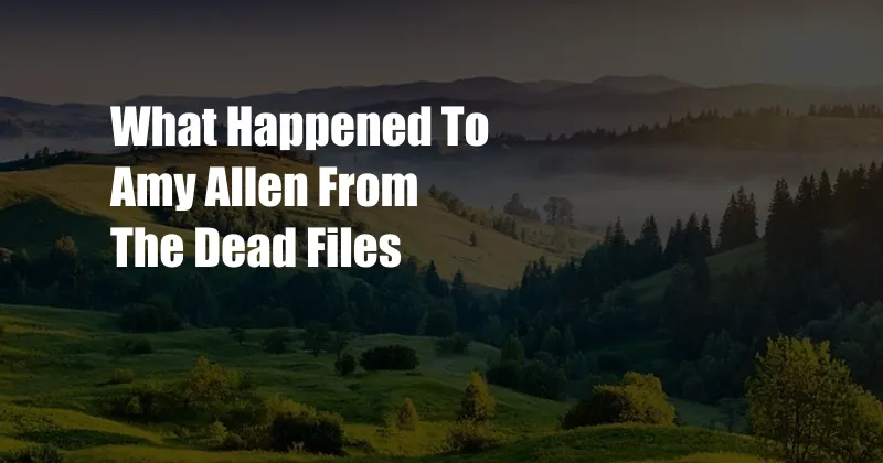 What Happened To Amy Allen From The Dead Files