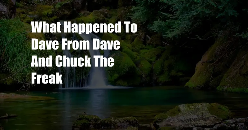 What Happened To Dave From Dave And Chuck The Freak