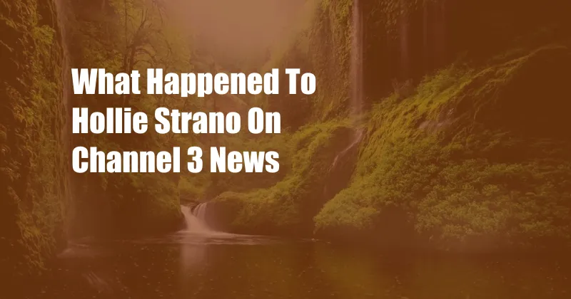What Happened To Hollie Strano On Channel 3 News