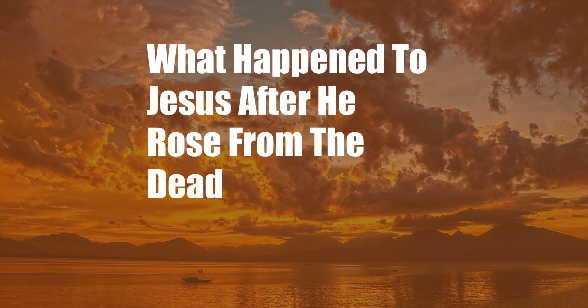 What Happened To Jesus After He Rose From The Dead