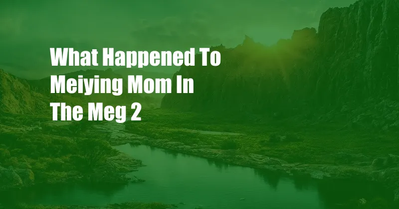 What Happened To Meiying Mom In The Meg 2