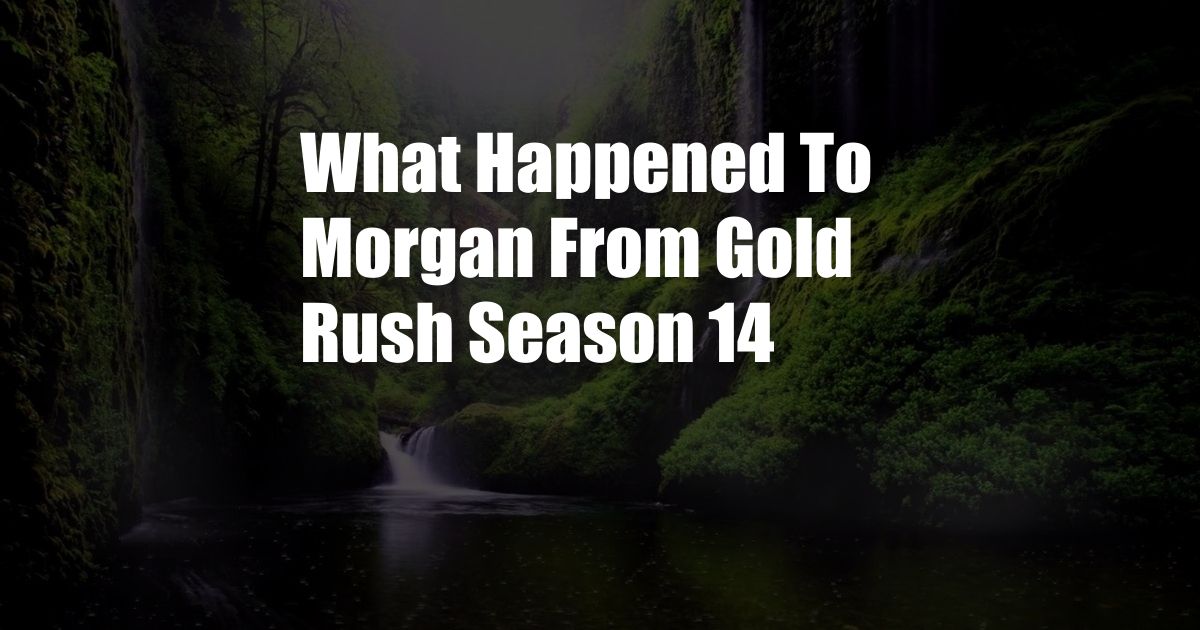 What Happened To Morgan From Gold Rush Season 14