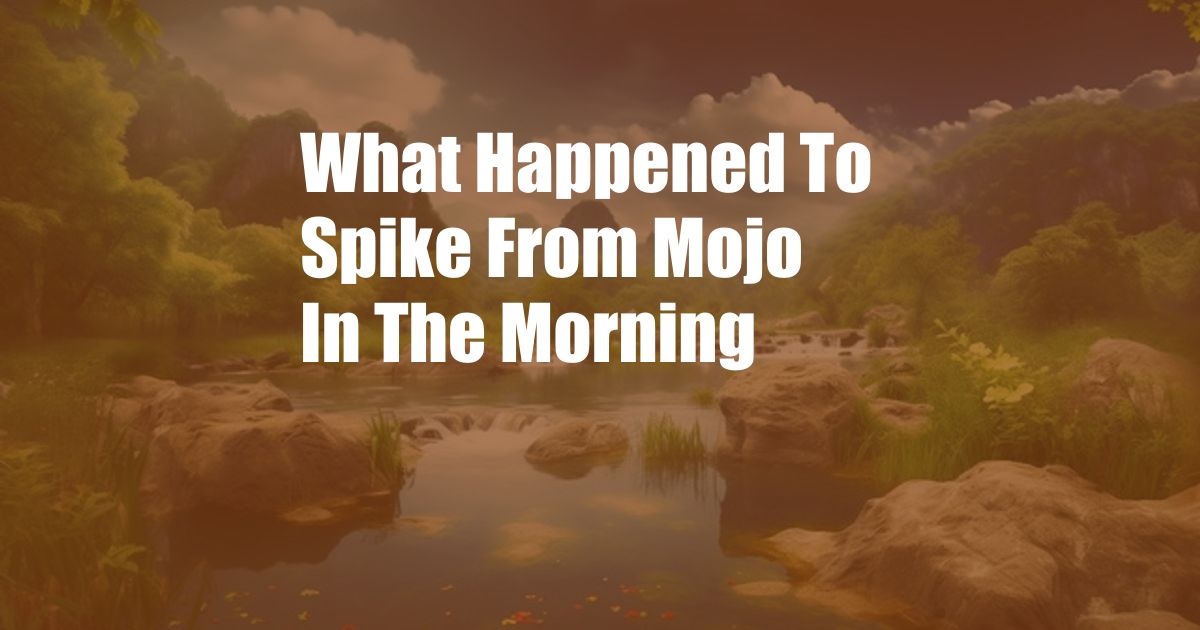 What Happened To Spike From Mojo In The Morning