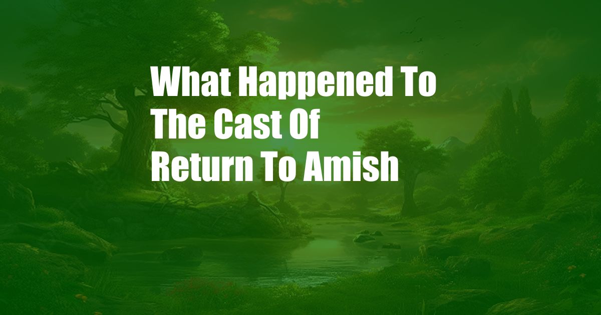 What Happened To The Cast Of Return To Amish