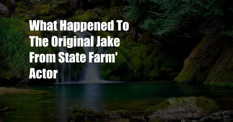 What Happened To The Original Jake From State Farm' Actor