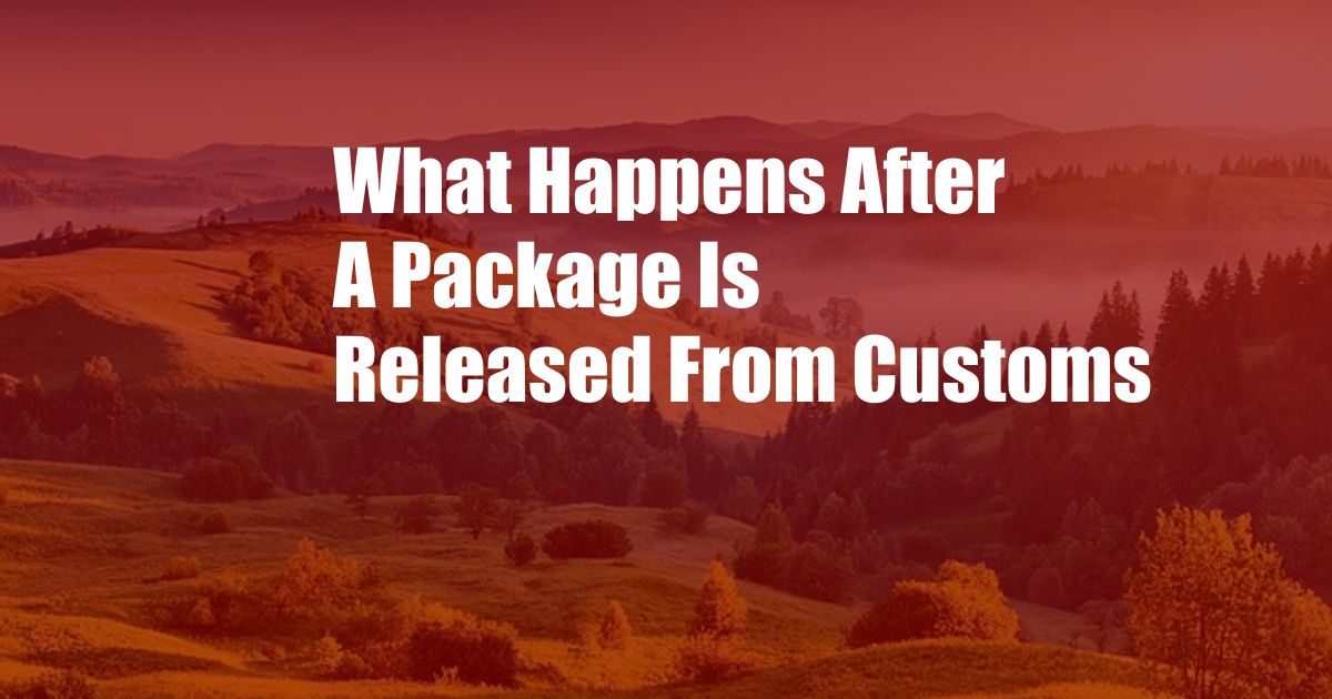 What Happens After A Package Is Released From Customs