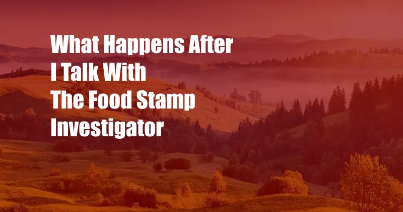 What Happens After I Talk With The Food Stamp Investigator