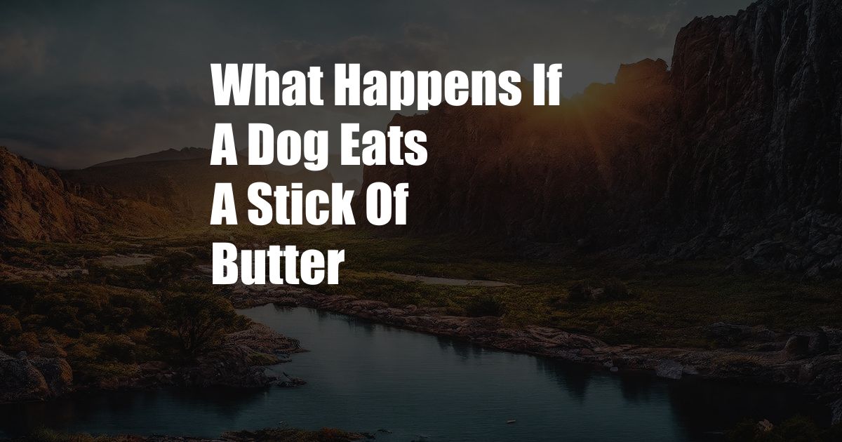 What Happens If A Dog Eats A Stick Of Butter