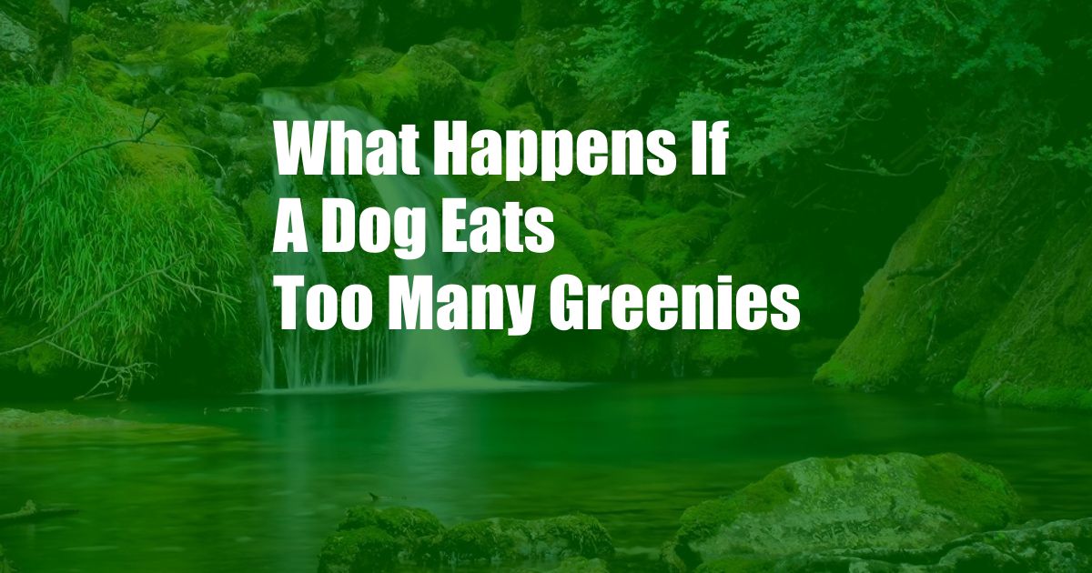 What Happens If A Dog Eats Too Many Greenies